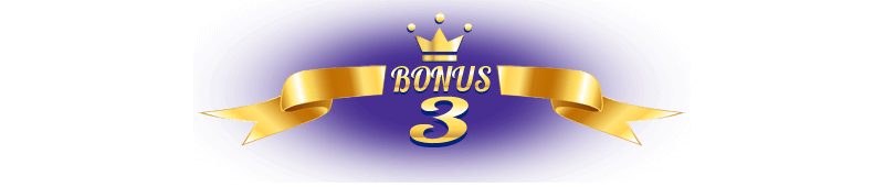 BONUS 03 BELOW